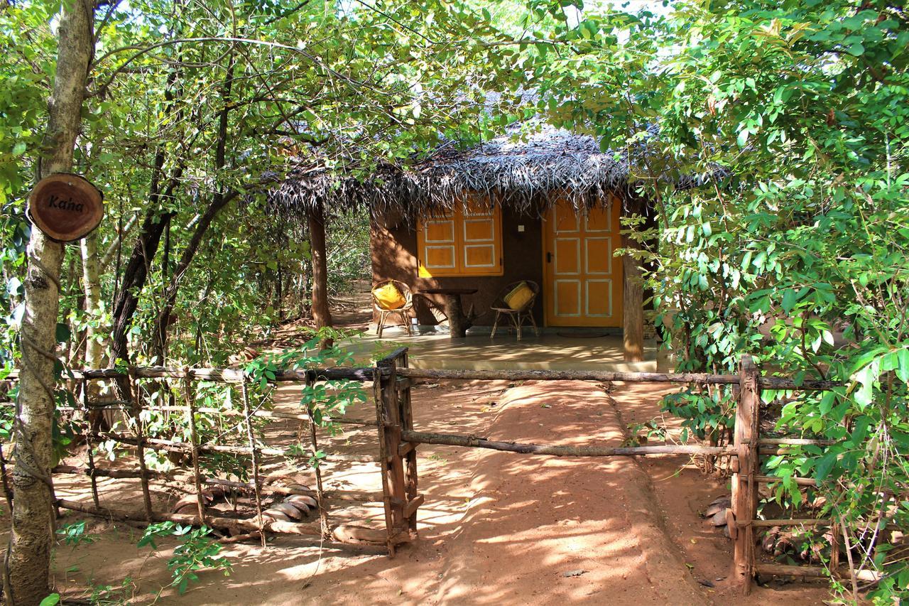 Mahagedara Wellness Retreat Hotel Avudangawa Exterior foto