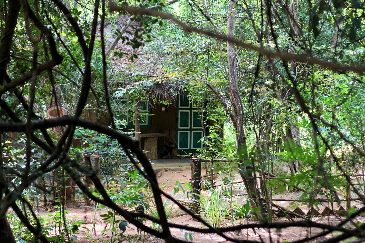 Mahagedara Wellness Retreat Hotel Avudangawa Exterior foto